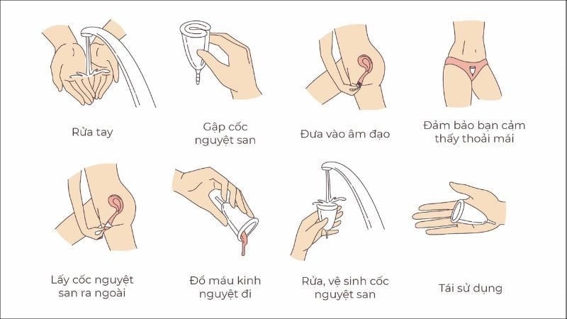 Hướng dẫn cách dùng cốc nguyệt san đúng cách an toàn, hiệu quả