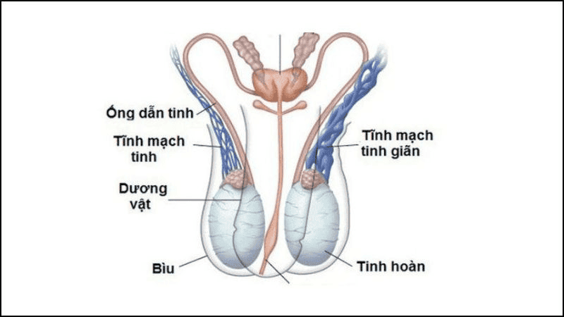 diem g cua nam nam o dau kham pha bi mat cua nhung diem nhay cam 673b4eac98db6